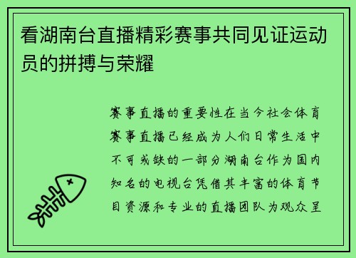 看湖南台直播精彩赛事共同见证运动员的拼搏与荣耀